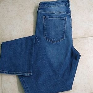 Eddie Bauer Slightly Curvy Jeans